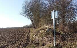 313542