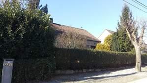 313556