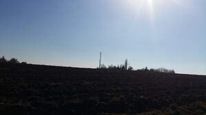 313563