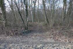 313693