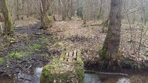 314630