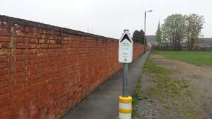 316833
