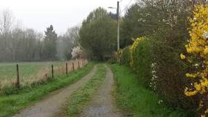 316850