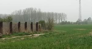 316931