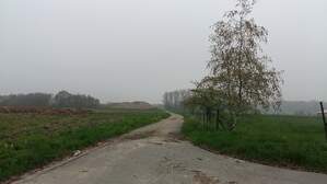 316933