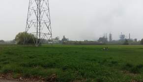 316938