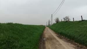 316990