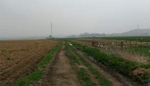 316992