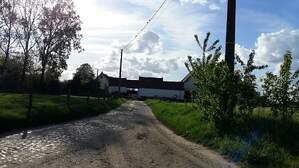 317593