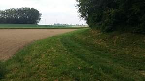 318696