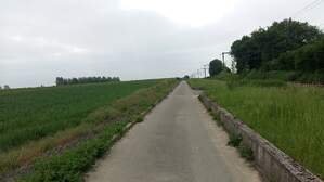 318704