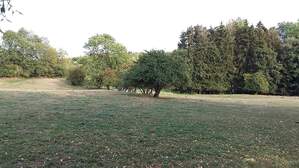 320768