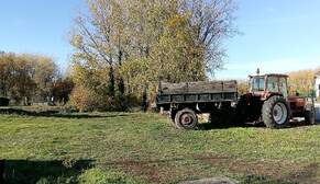 321846