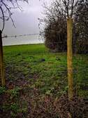 323053