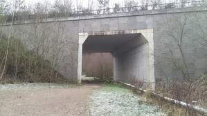 323073