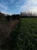 323304