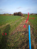 323321