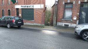 323481