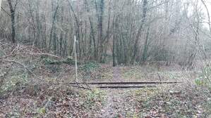 323518