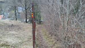 323563