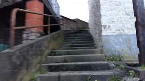 323569