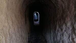 323591