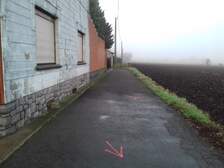 323756