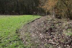 325199