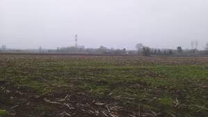 325497