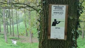 325823