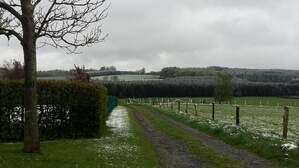 325903