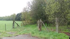 325916