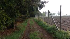 325930