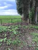 326224