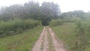 326359