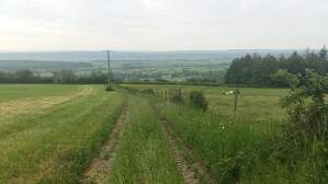 326476