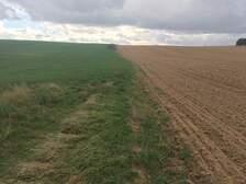 328362