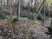 329079