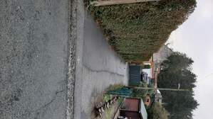 329211