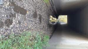 329216