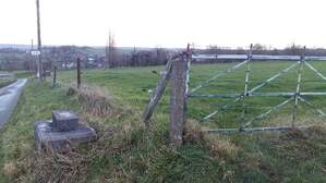 329562
