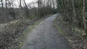 330567