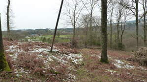 330798