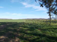 331352