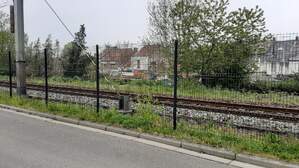 332538
