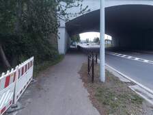 333981