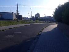 334481