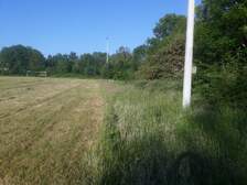 334638