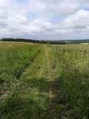334954