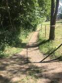 335004